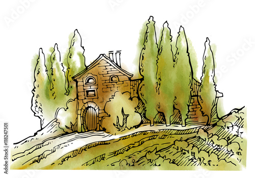 Hand made sketch grape fields and vineyards.