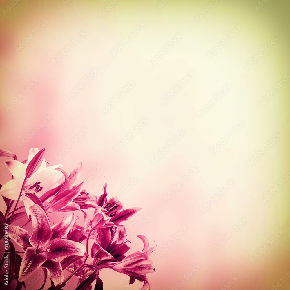 Fototapeta premium Background with flowers