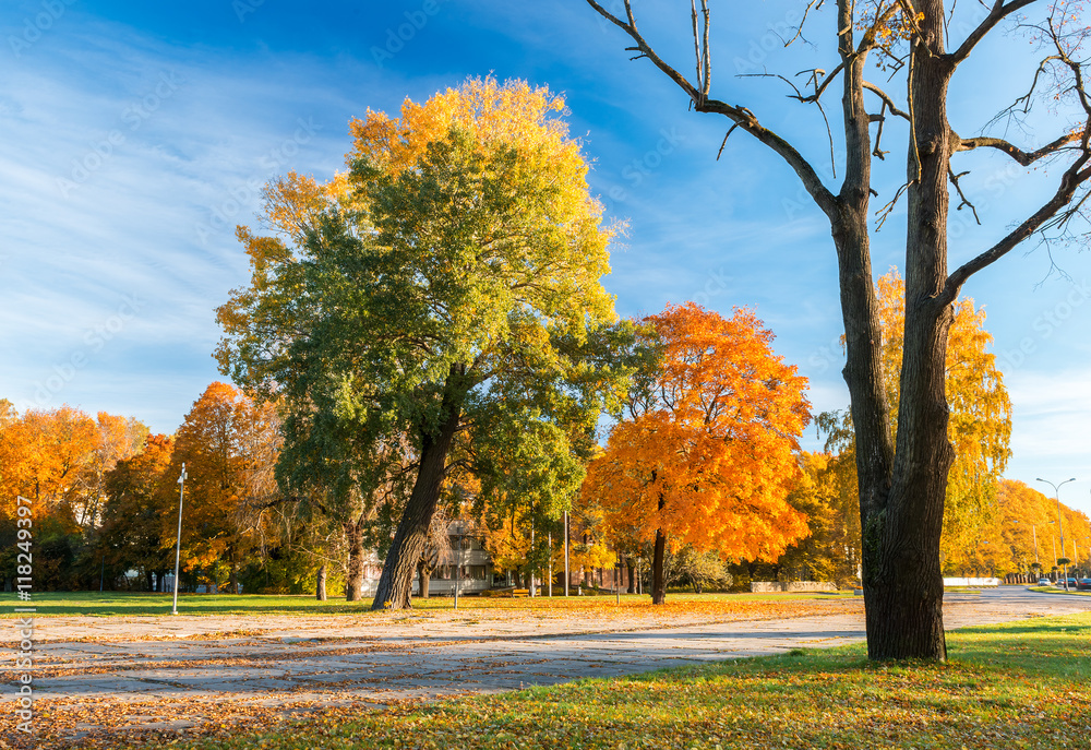 Autumnal landscape, Jurmala resort, Latvia Autumnal landscape, Jurmala resort, Latvia