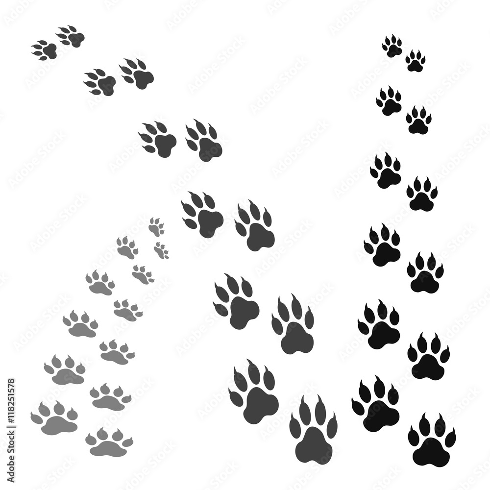paw print