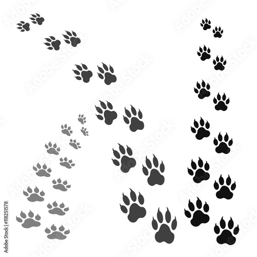 Obraz na płótnie paw print w salonie