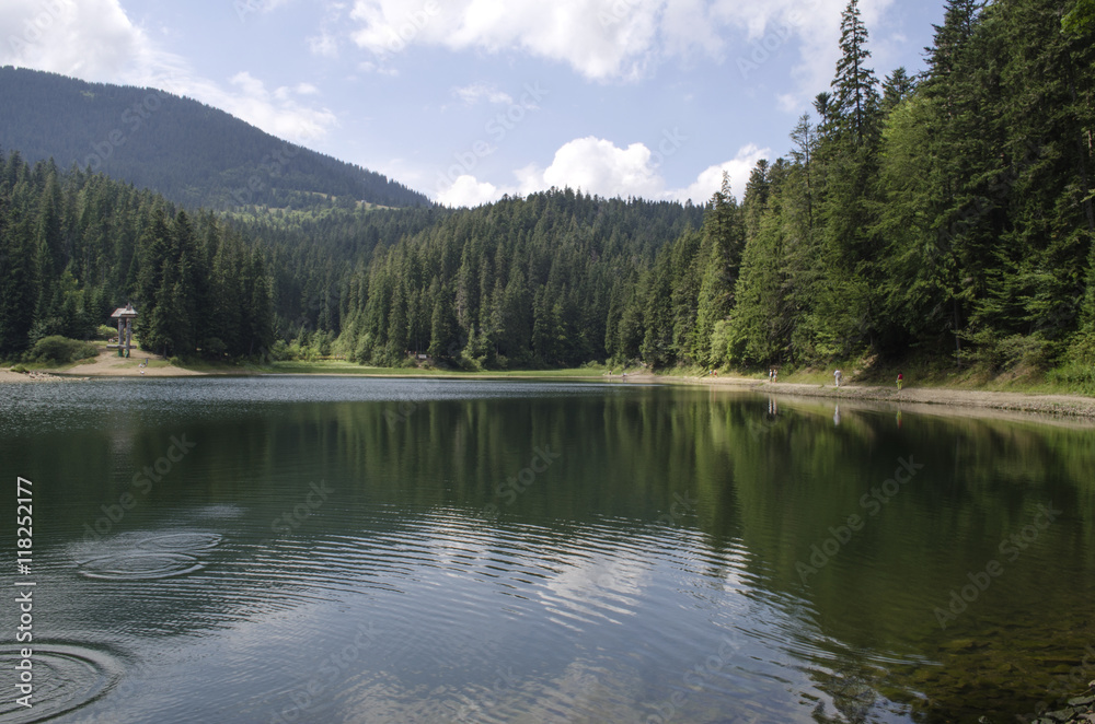 Mountain Lake Synevir in the Ukrainian Carpathians
