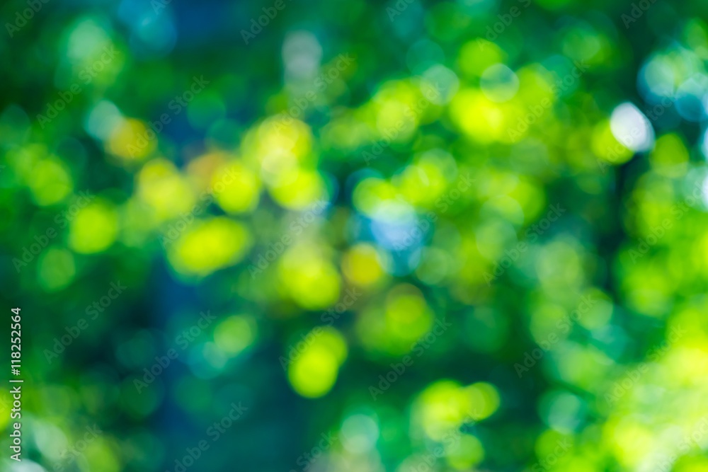 Obraz premium Forest bokeh background