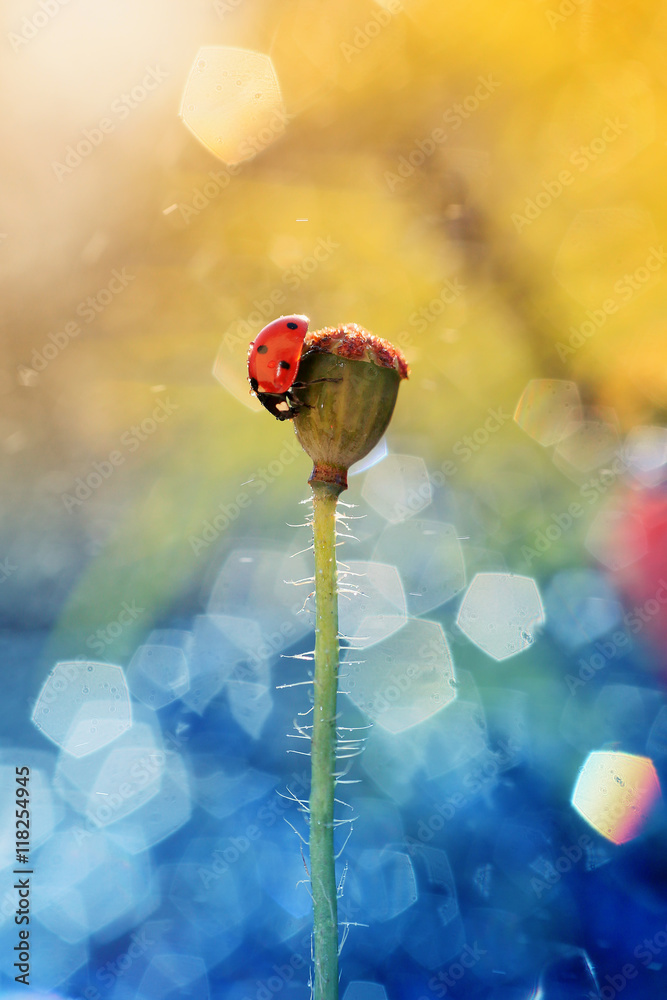 Naklejka premium Widok na kryształy niebieskie