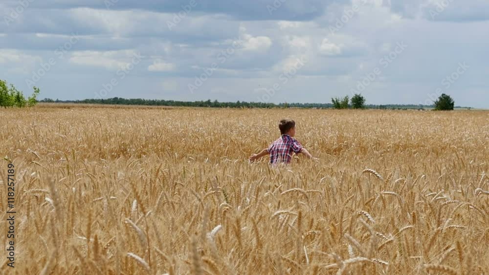 boy runs through a wheat field at sunset. Slow motion boy runs through a wheat field at sunset. Slow motion