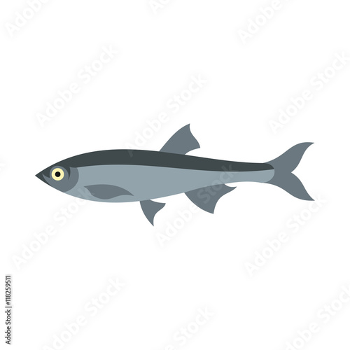 Herring icon in flat style isolated on white background. Sea creatures symbol