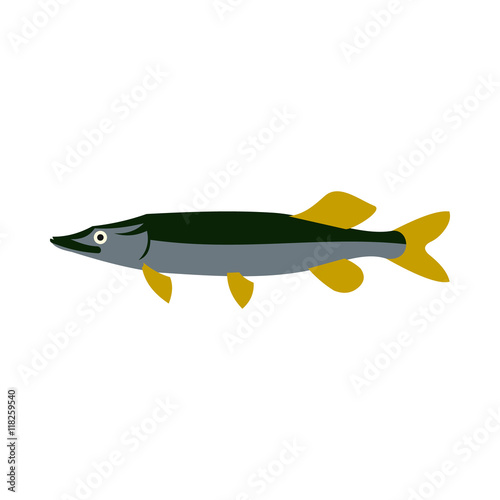 Pike icon in flat style isolated on white background. Sea creatures symbol