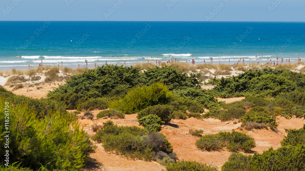Sea in beach of La Barrosa, Cadiz, Spain