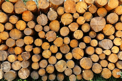 firewood