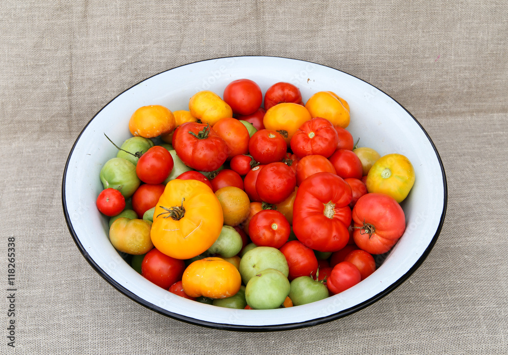 tomato harvesting basin. A tightly woven linen as a background tomato harvesting basin. A tightly woven linen as a background