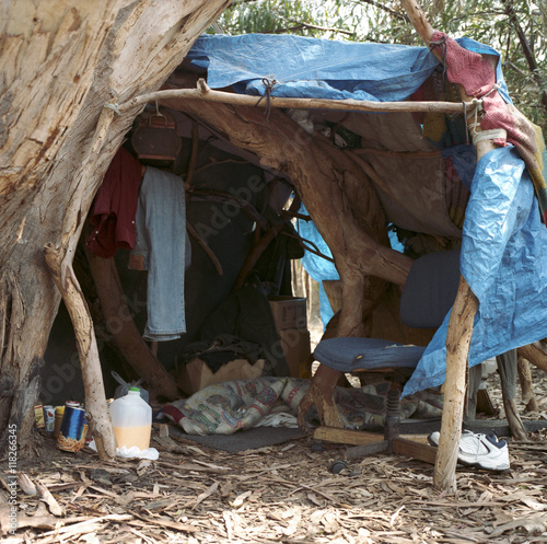 Homeless tent next to tree photo