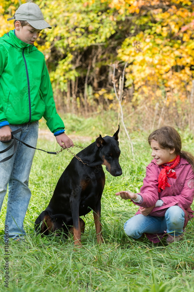 Brother and his sister are feeding the dobermann in the park. Brother and his sister are feeding the dobermann in the park.