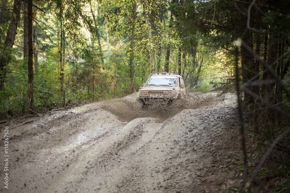 Off--road vehicle is driving on the wood at Rainforest Challenge Russia Autumn 2014 PRO-X.