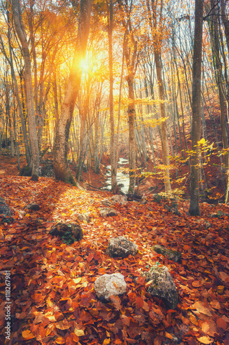 Colorful autumn landscape w...