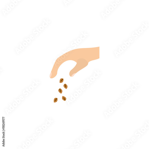 Image of sow the seeds