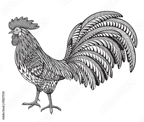 Black and white hand drawn vector illustration of fiery rooster