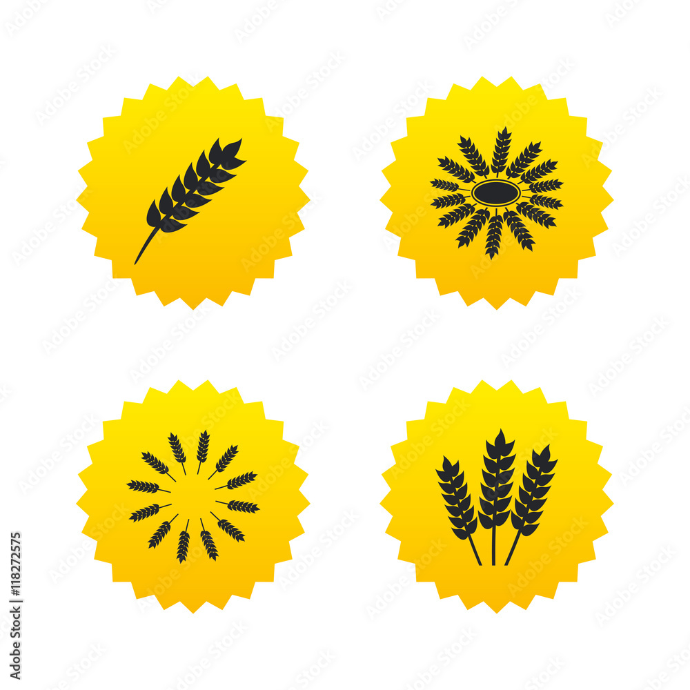 Fototapeta premium Agricultural icons. Gluten free symbols.