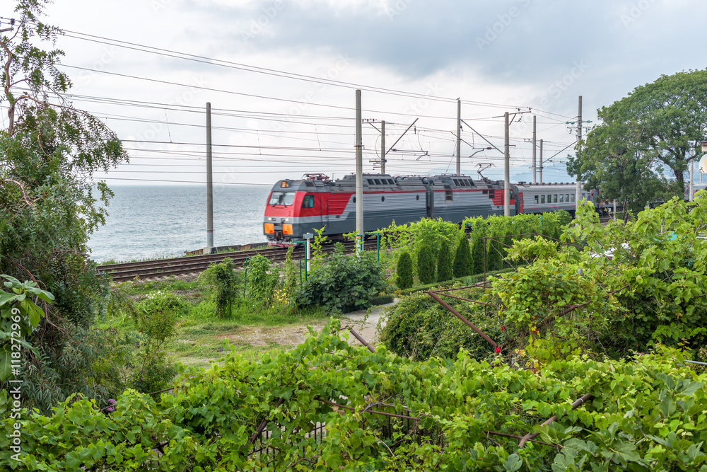 Naklejka premium train rides lengthwise sea coast among the greenery
