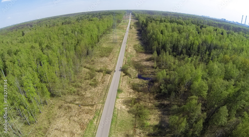 Aerial view of the vista in the forest at spring day.