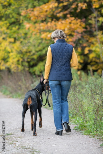Back view of the walking with dobermann woman in a park.