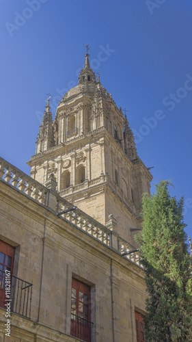 view of Salamanca with Tormes River and Cathedral. Castile and Leon, Spain