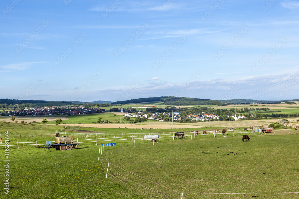 rural landscape with animals on the meadow rural landscape with animals on the meadow