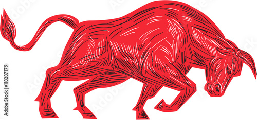 Bull Charging Drawing