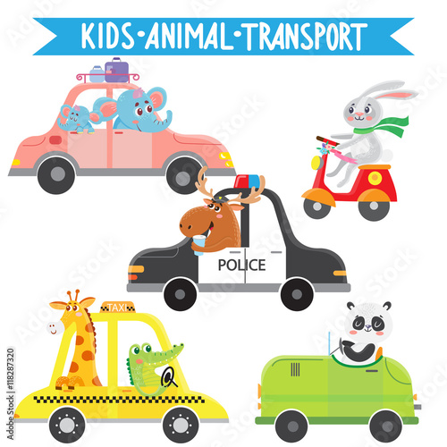 Funny animals on transport. Elephant  rabbit  elk  panda  crocodile  giraffe. Vector illustration on white background.  Kids cartoon.