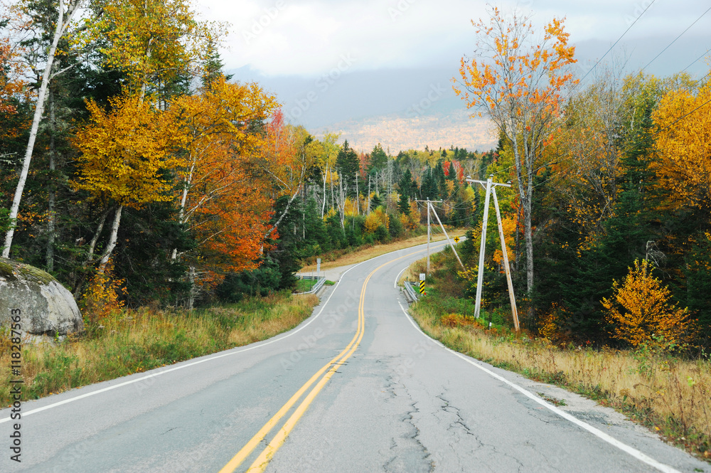 winding road in the autumn mountain forest in white mountain winding road in the autumn mountain forest in white mountain