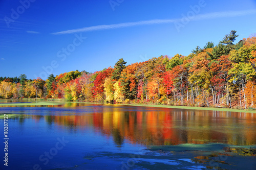 autumn colorful trees under morning sunlight reflecting in tranquil river