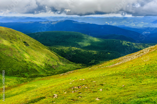 Picturesque Carpathian mountains landscape  view from the height  Chornogora ridge  Ukraine.