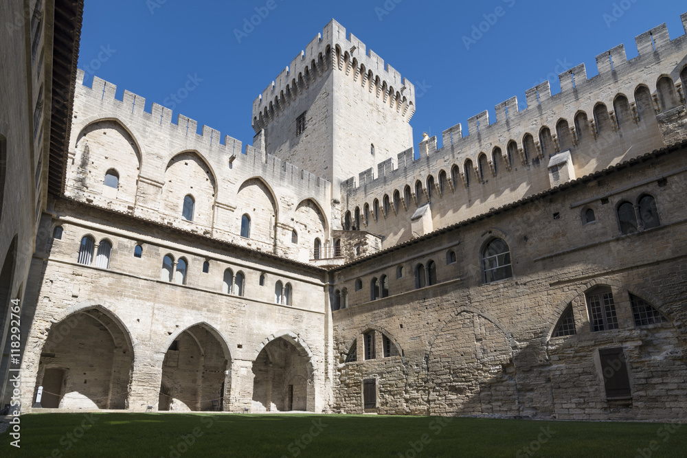 Avignone palazzo dei papi