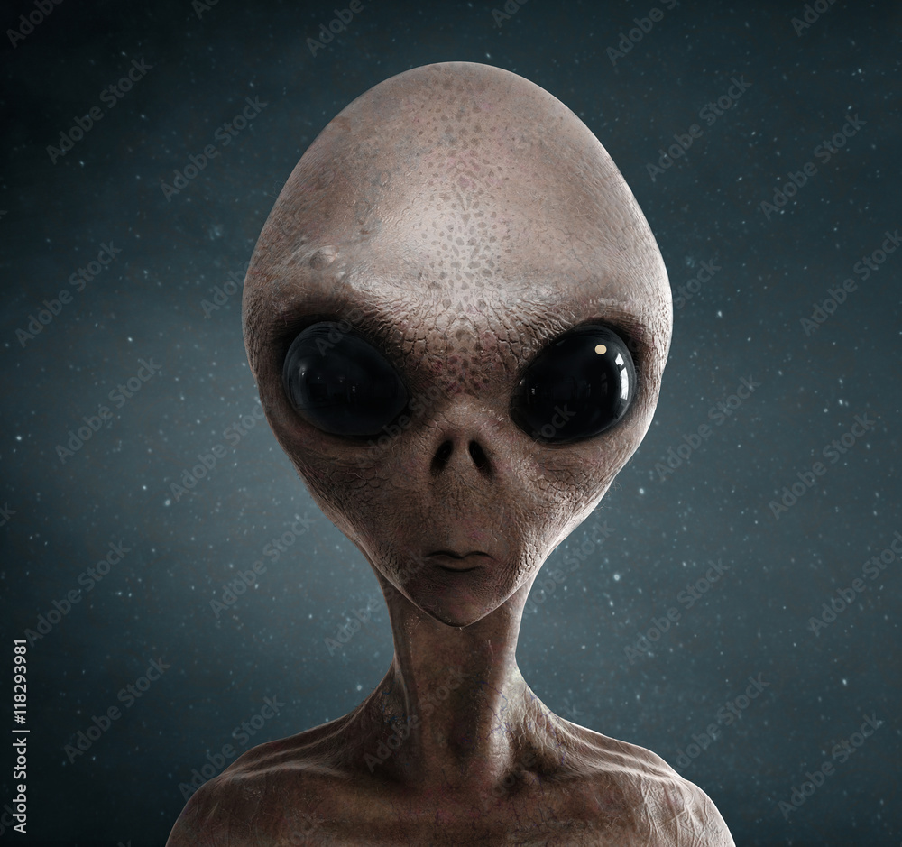 2.101 fotos de stock e banco de imagens de Alien Language - Getty