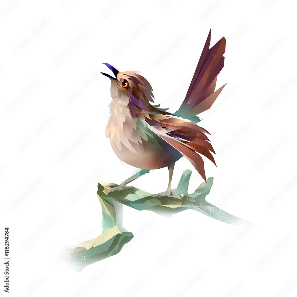 Obraz premium singing bird on a white background