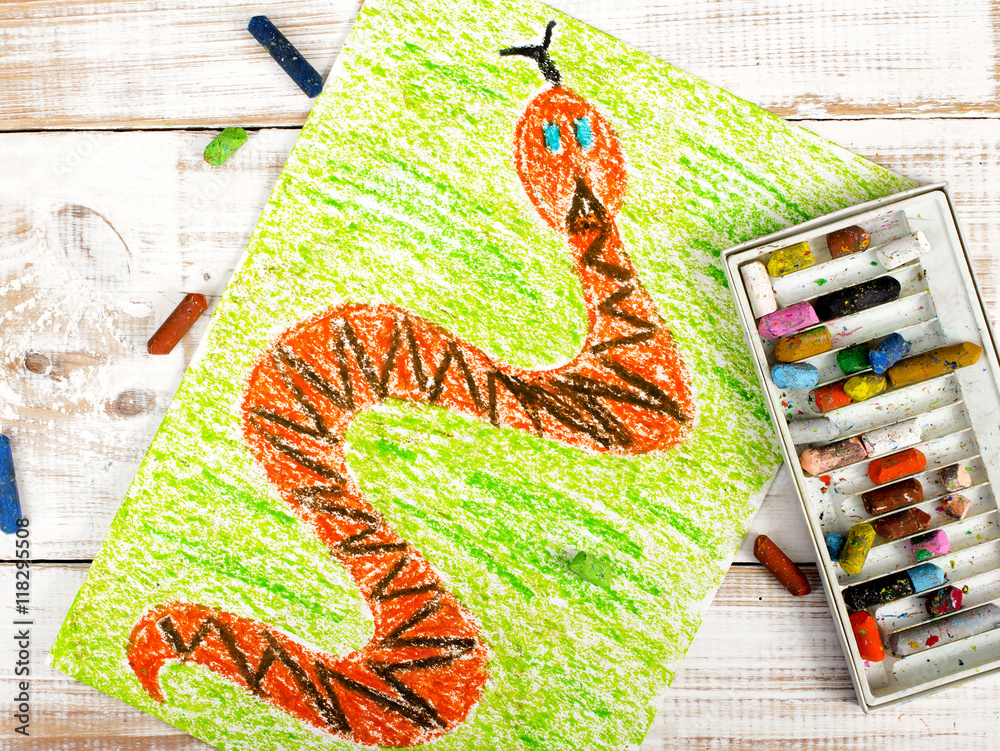 colorful drawing: snake in the grass Stock Photo | Adobe Stock