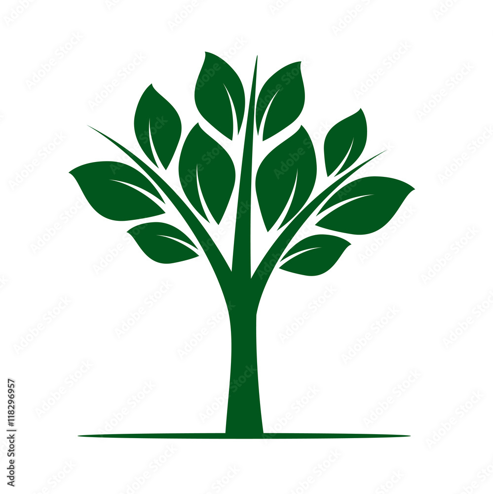 Fototapeta premium Shape of Green Tree. Vector Illustration.