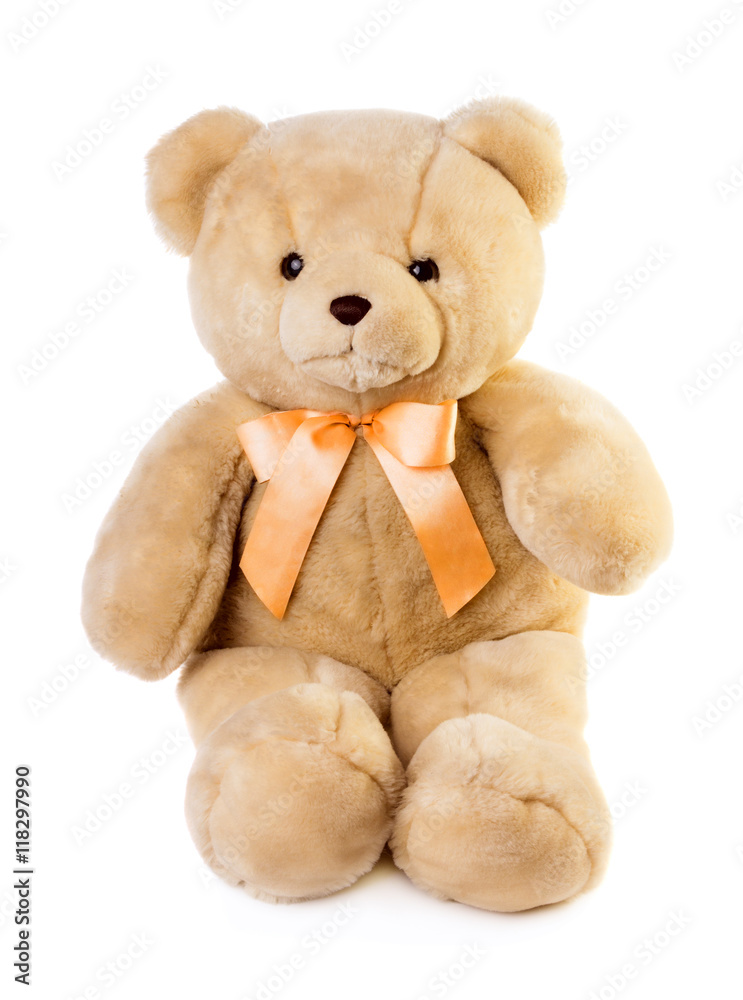 Obraz premium Toy teddy bear