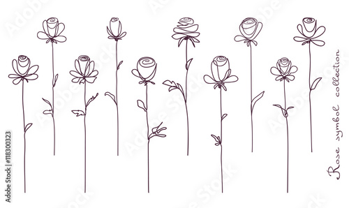 Roses. Collection of isolated rose flower sketch on white background