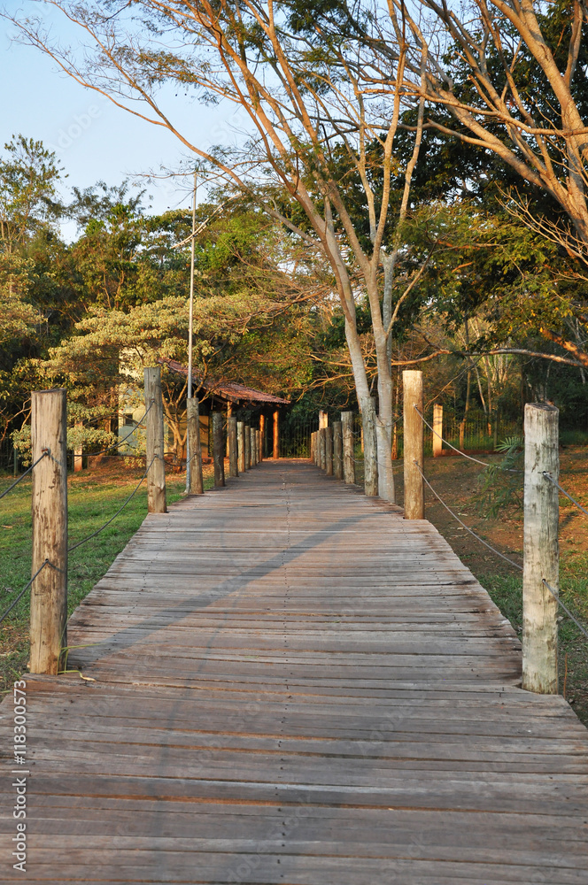 Ponte passarela de madeira com cercado