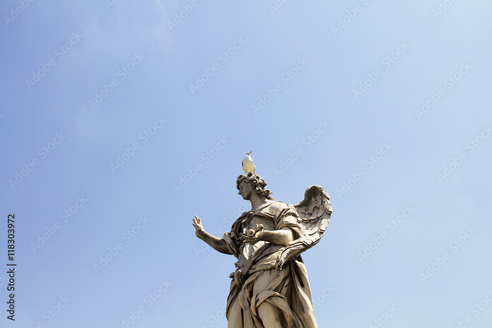 Seagull on top of statue at St. Angelo Bridge in Rome