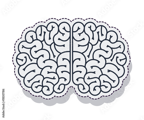 brain storm isolated icon vector illustration design