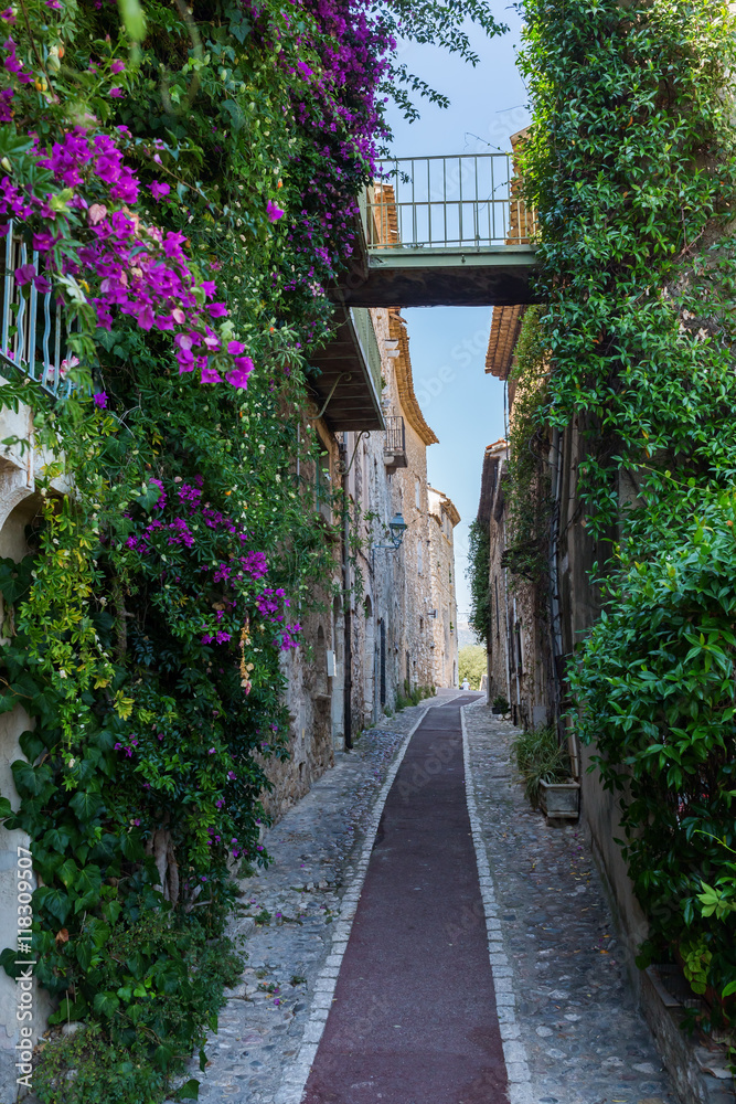 Fototapeta premium alley in Saint-Paul-de-Vence, Provence, France