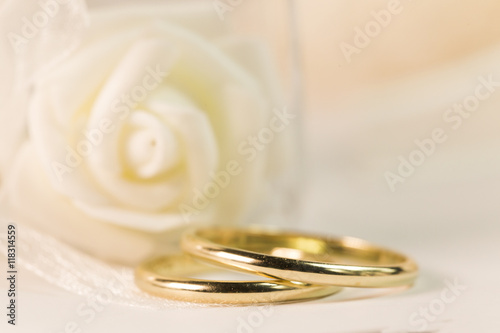 wedding background, rings, white rose