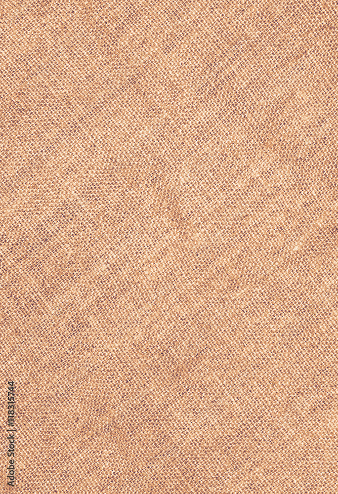 Fototapeta premium canvas background
