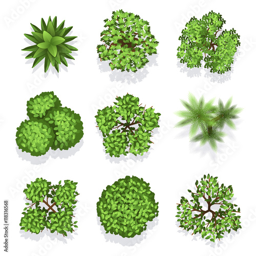 Top view different plants and trees vector set for architectural or landscape design