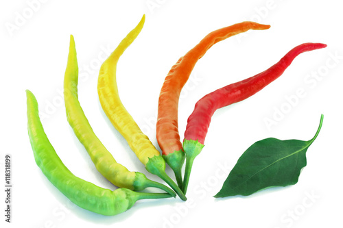 Colorful chili peppers on a white background