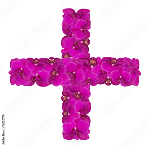 Plus sign made of flowers. Isolated on white background