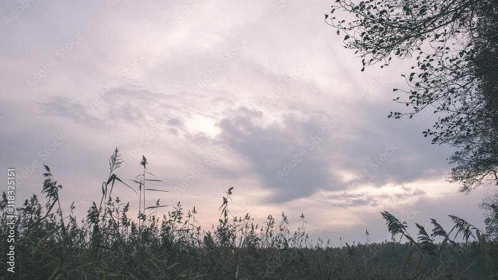 Fototapeta premium Dark storm clouds over meadow with green grass - vintage effect