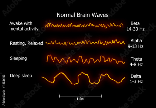 Illustration of the Normal-brain-waves
 photo