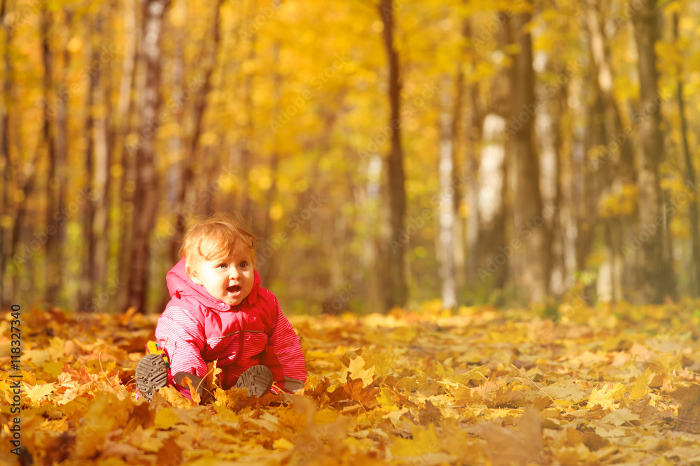 happy cute little girl in autumn leaves happy cute little girl in autumn leaves